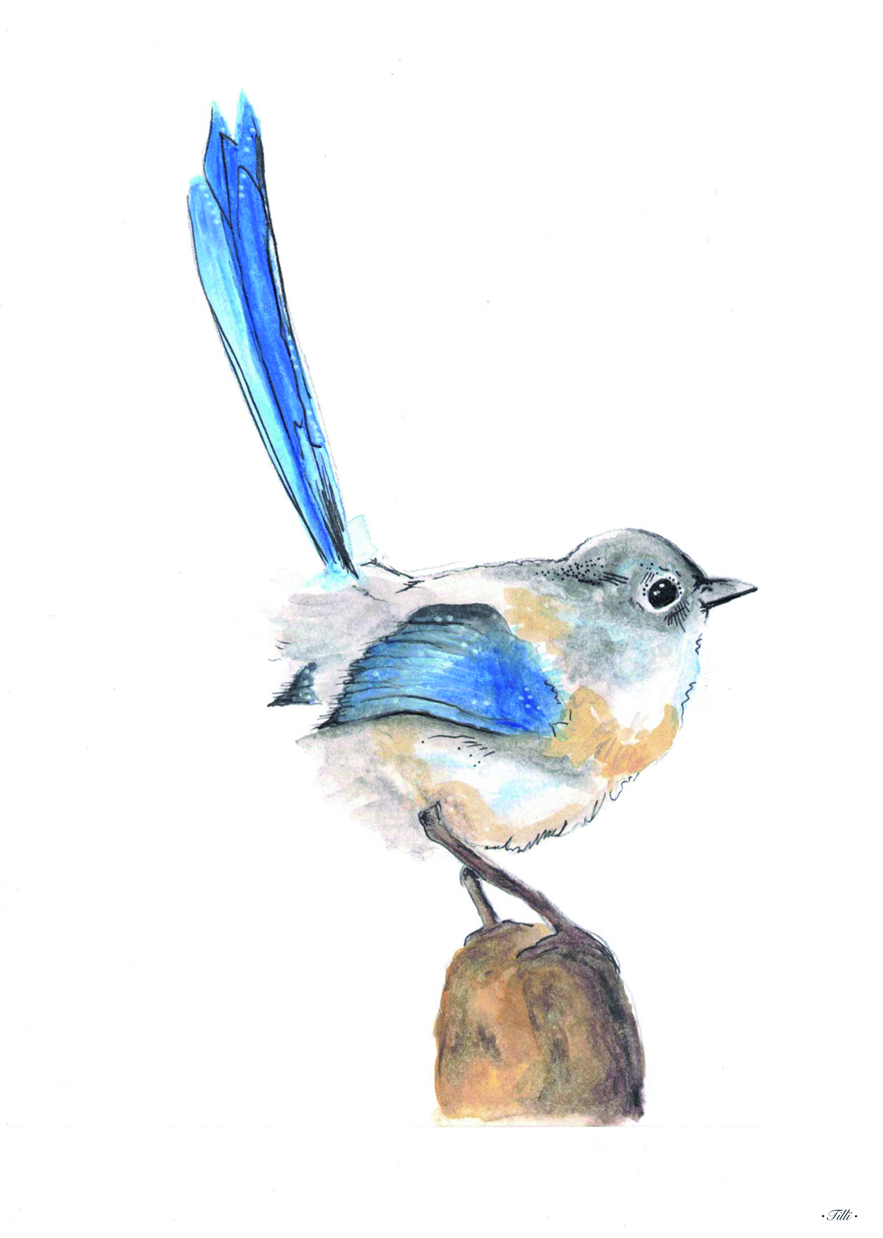 TILLÏ - BLUEBIRD Kunstdruck Postkarte - A6