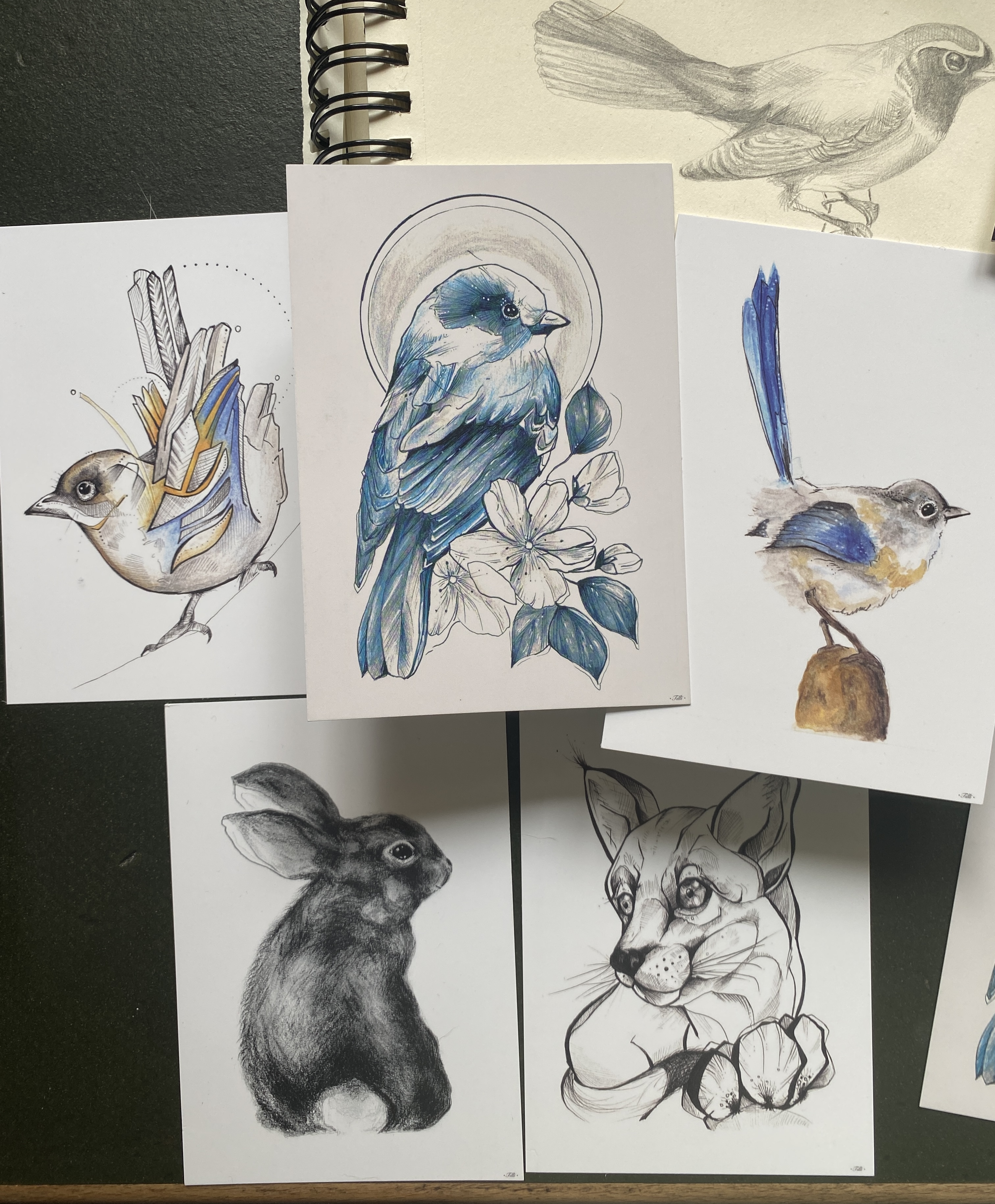 TILLÏ - HASE FLOCKE Bunny Kunstdruck Postkarte A6
