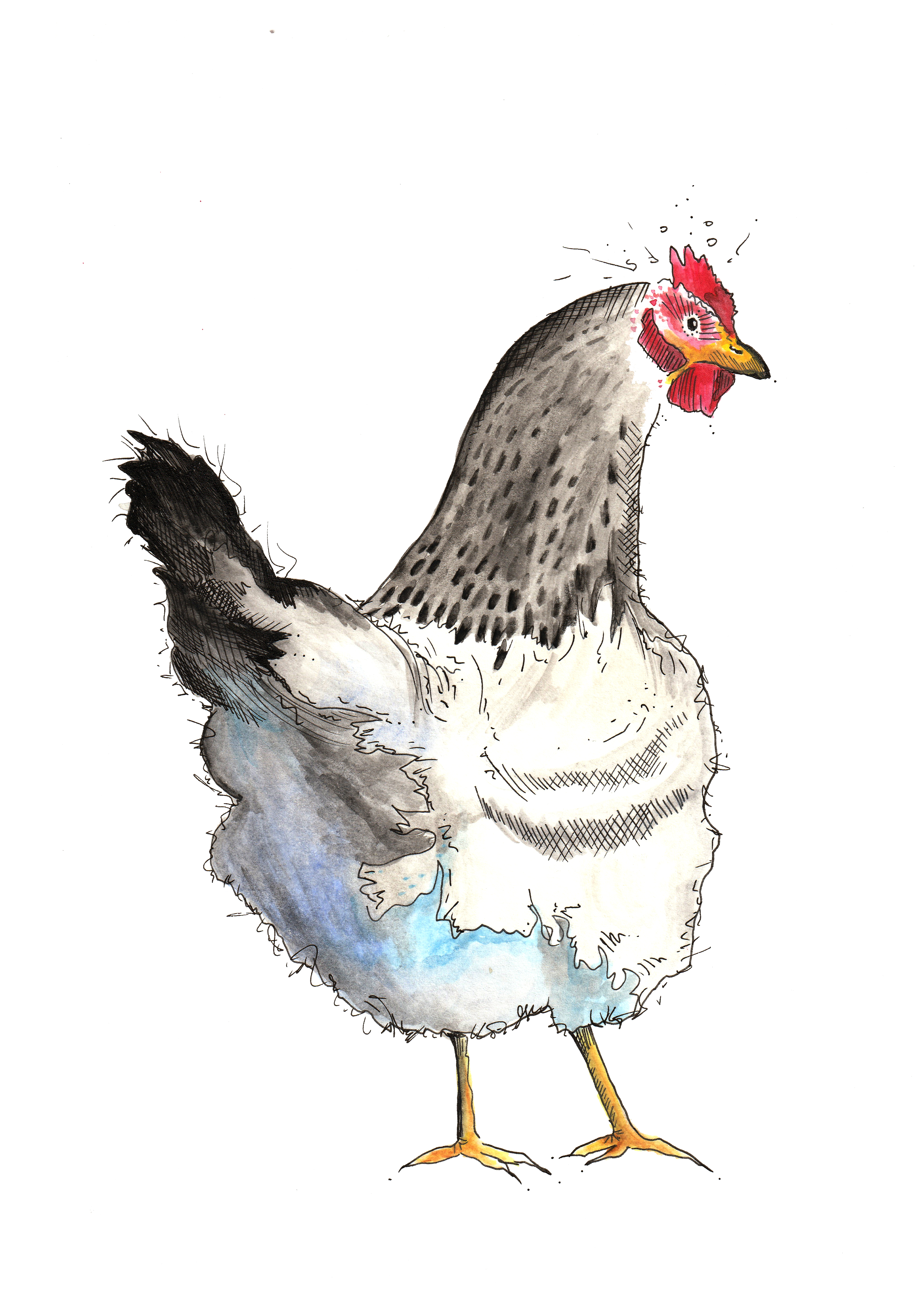 TILLÏ - HUHN LAURA Kunstdruck A5