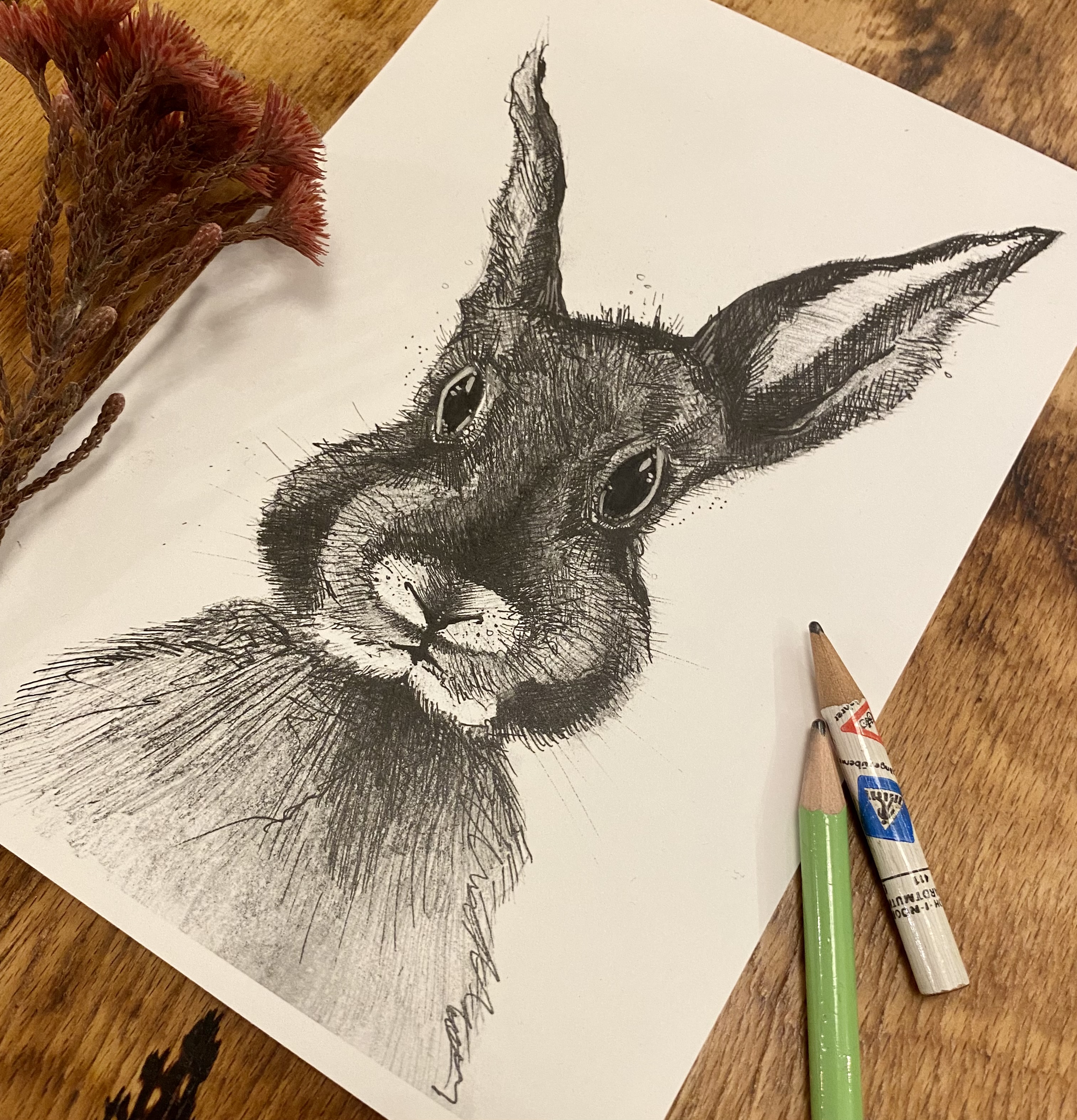 TILLÏ - HASE Stefan Kunstdruck A5