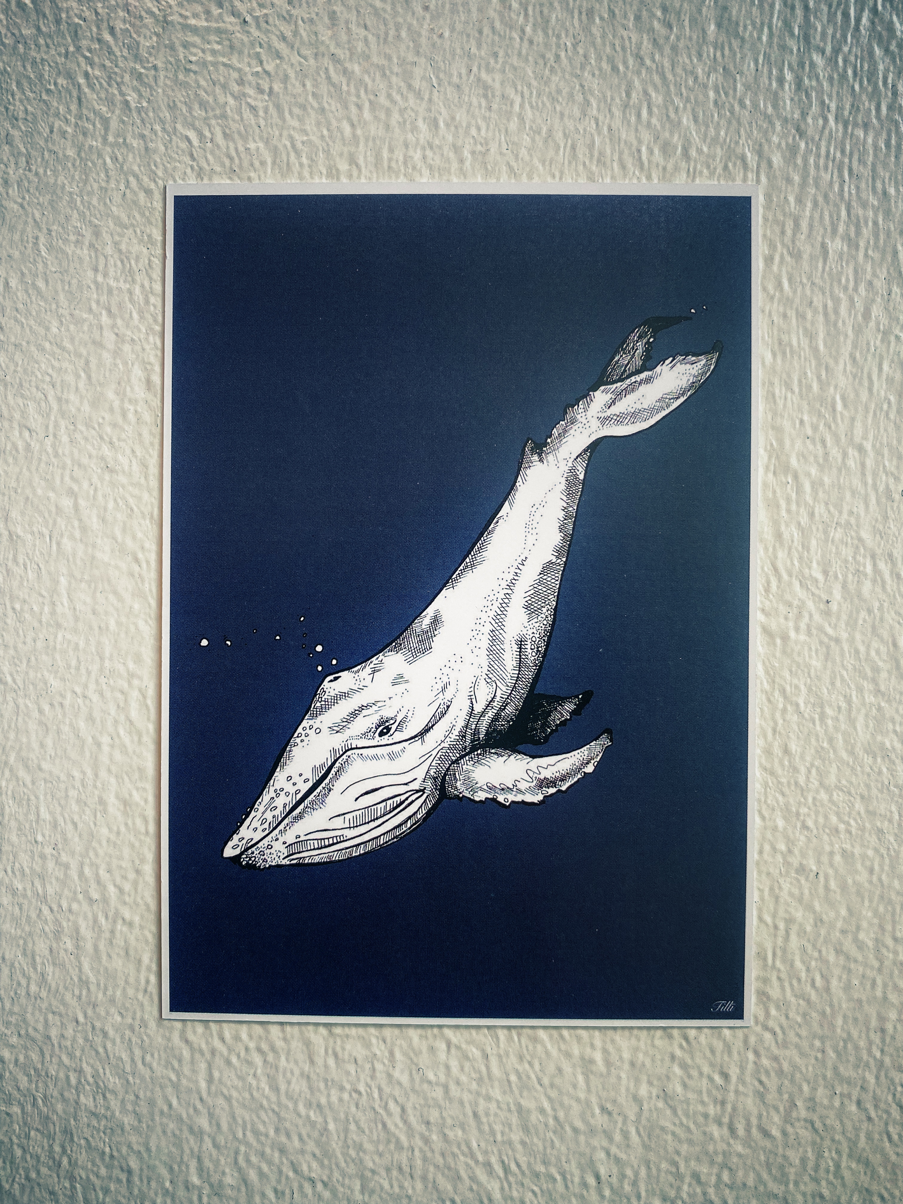 TILLÏ - DEEP SEA Postkarte A6
