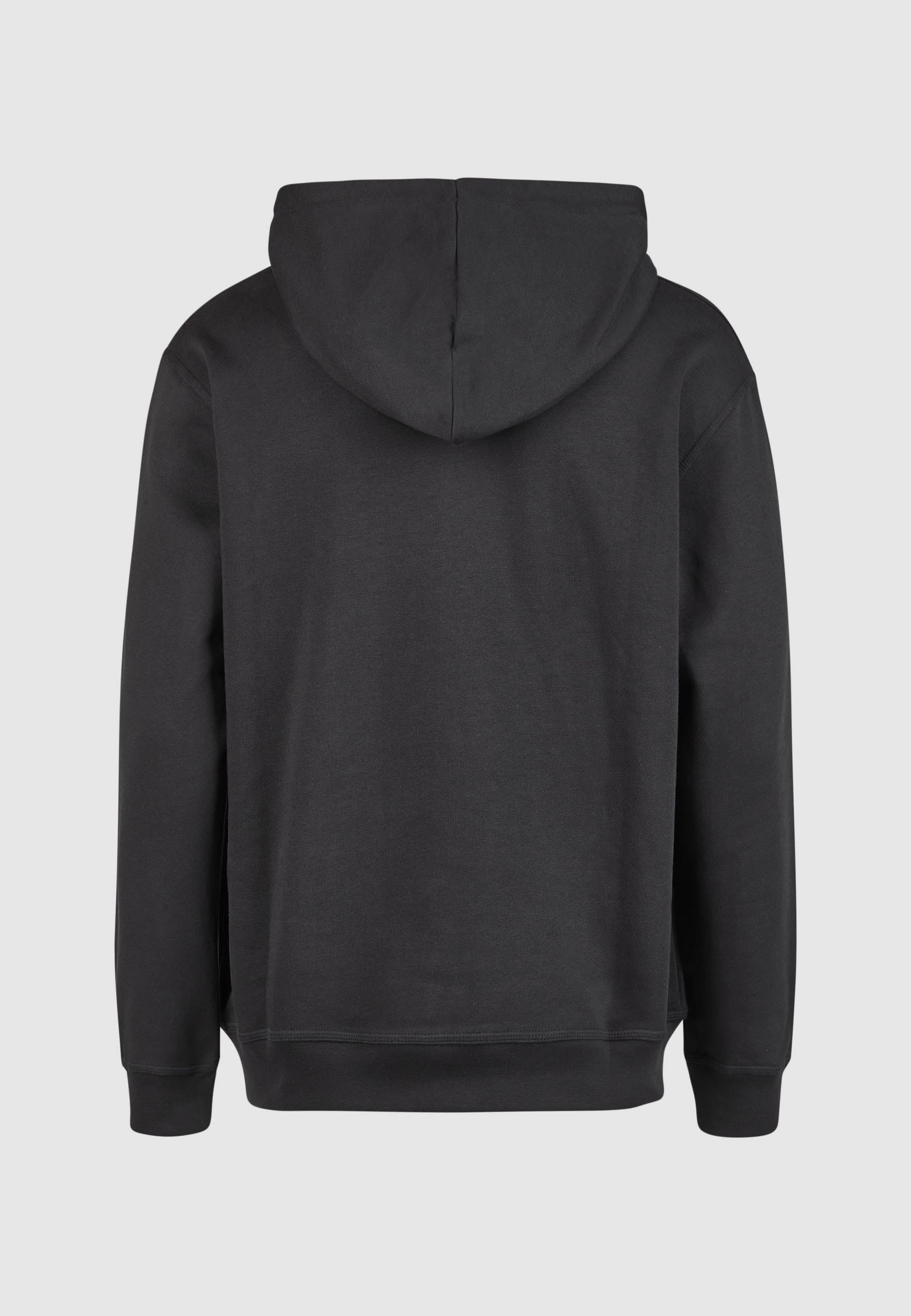 CLEPTOMANICX - SCRIBBLE GULL GRAPHIC HOODED Kapuzenpullover blue graphite