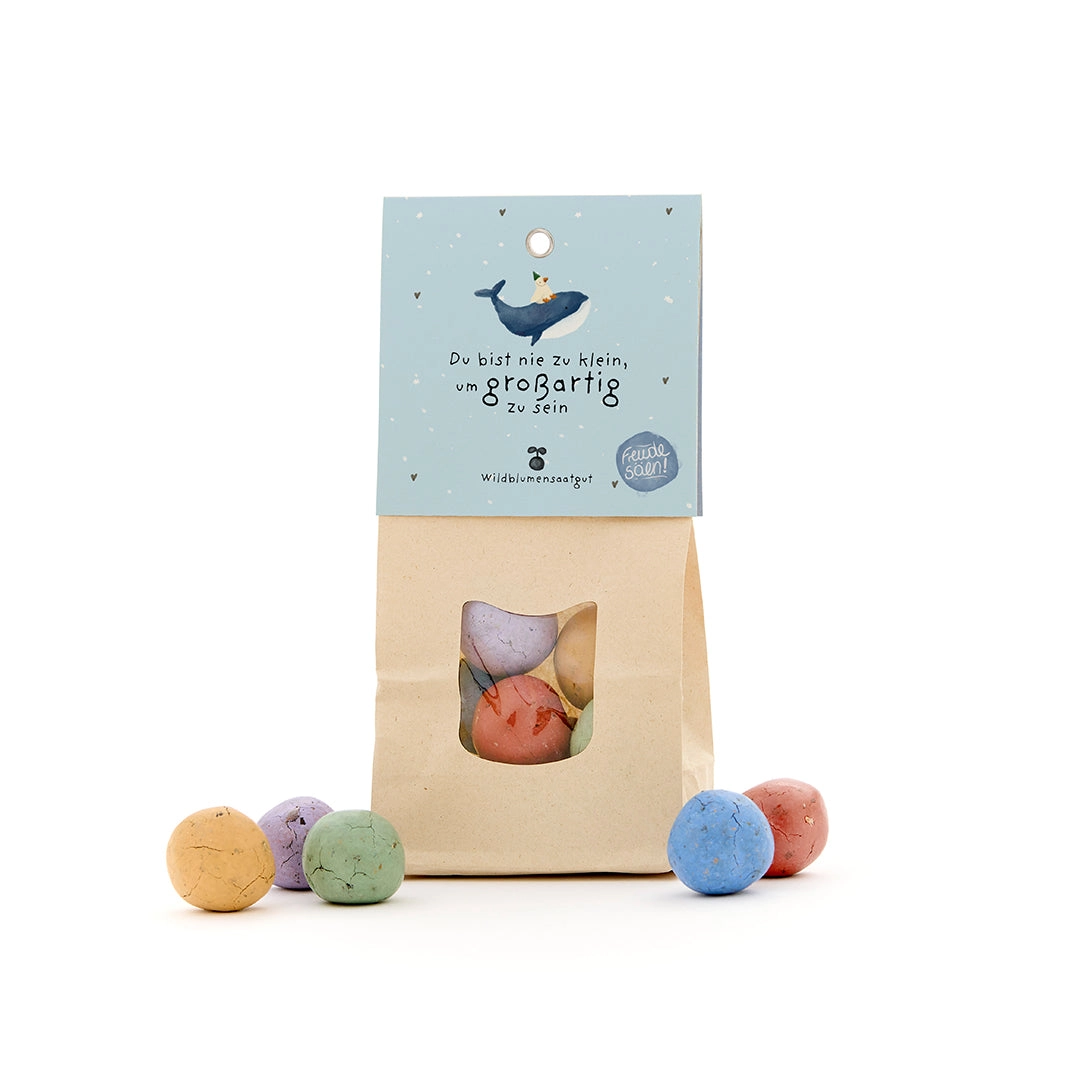 MAGIC GARDEN SEEDS - DU BIST NIE ZU KLEIN Bunte Blumenmurmeln