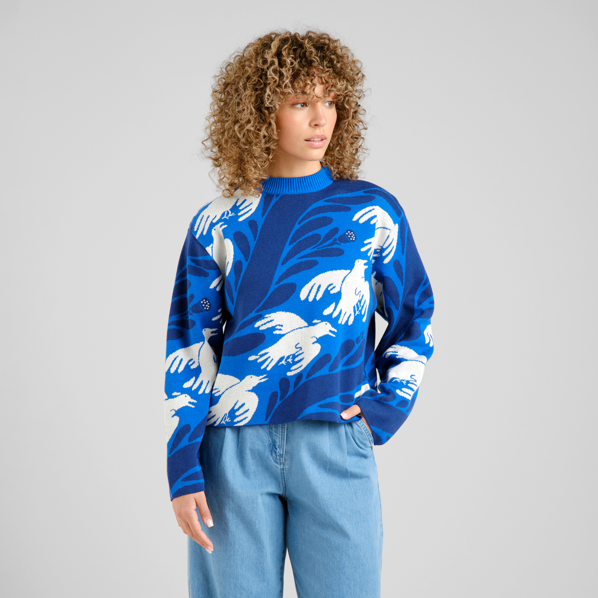 DEDICATED - LIMHAMN THE PHOENIX Pullover blue