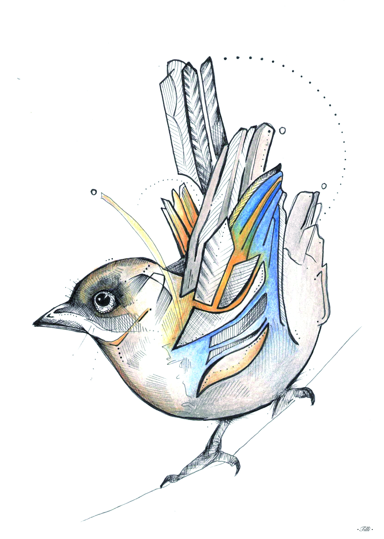 TILLÏ - GRAPHICBIRD Kunstdruck Postkarte - A6