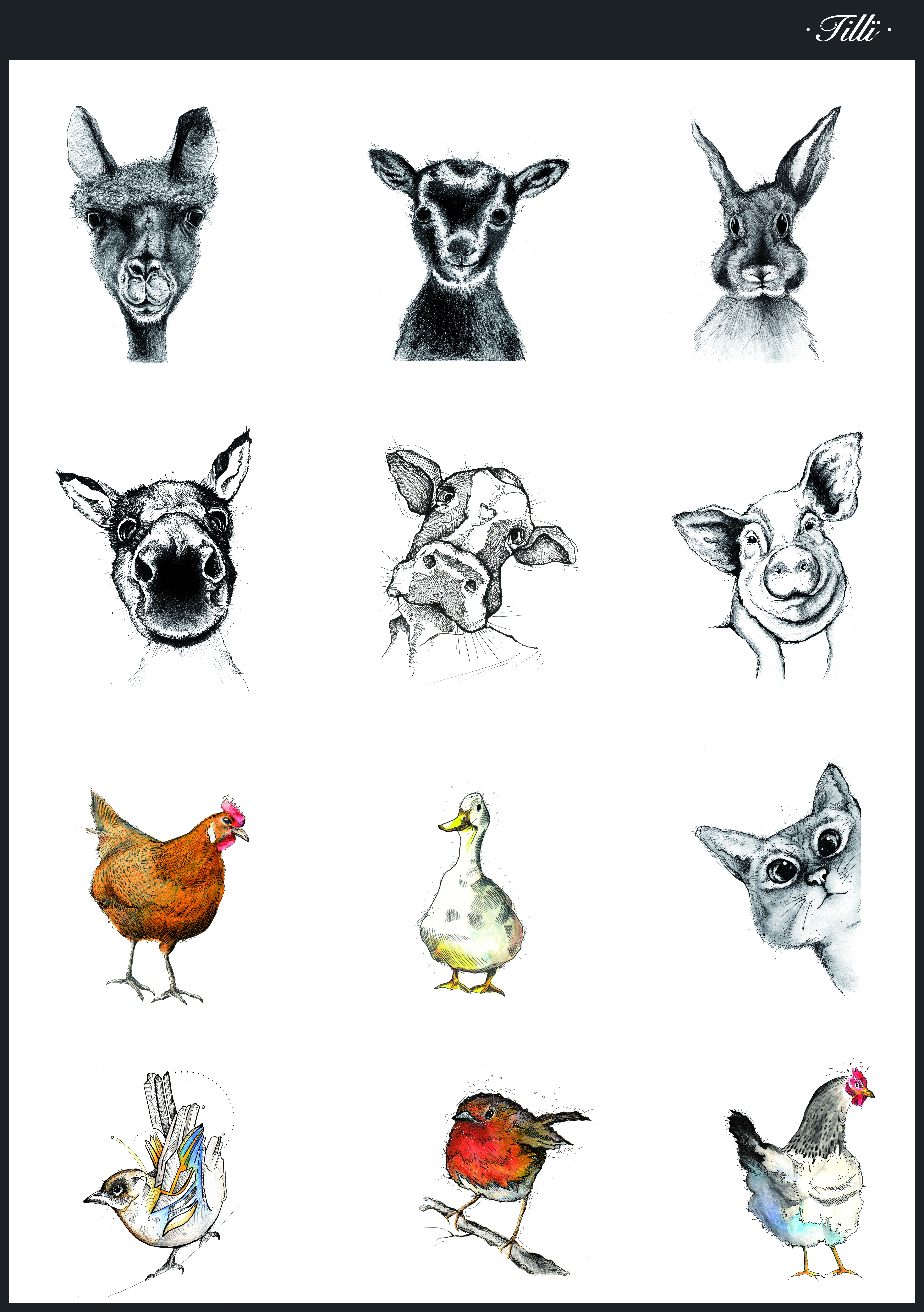 TILLÏ - HASE FLOCKE Bunny Kunstdruck Postkarte A6
