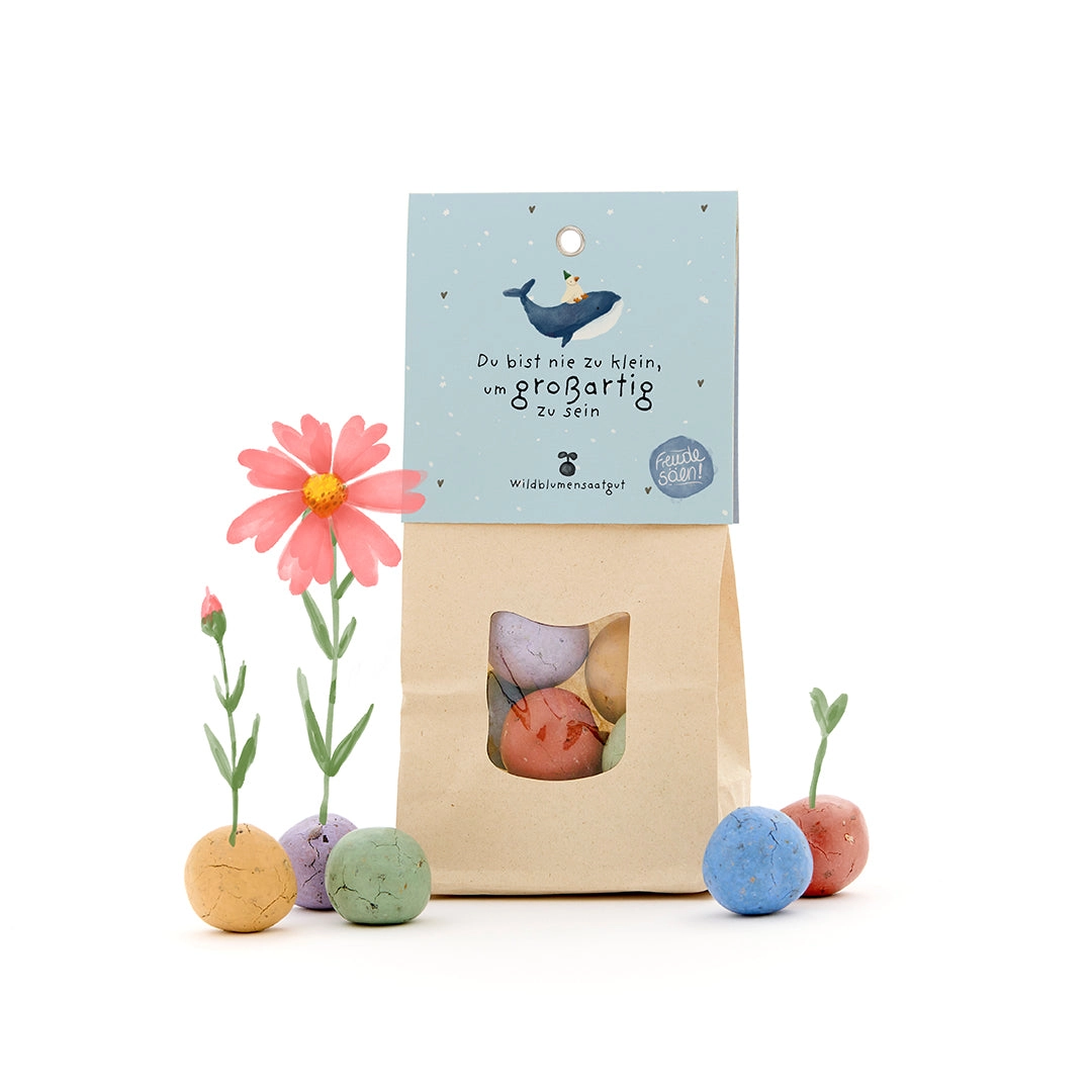 MAGIC GARDEN SEEDS - DU BIST NIE ZU KLEIN Bunte Blumenmurmeln
