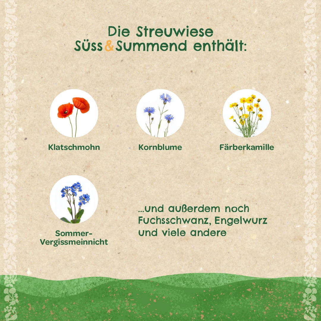 STADTGÄRTNER - SÜSS UND SUMMEND Blumenmischung
