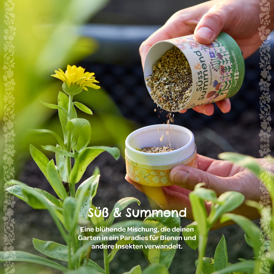 STADTGÄRTNER - SÜSS UND SUMMEND Blumenmischung