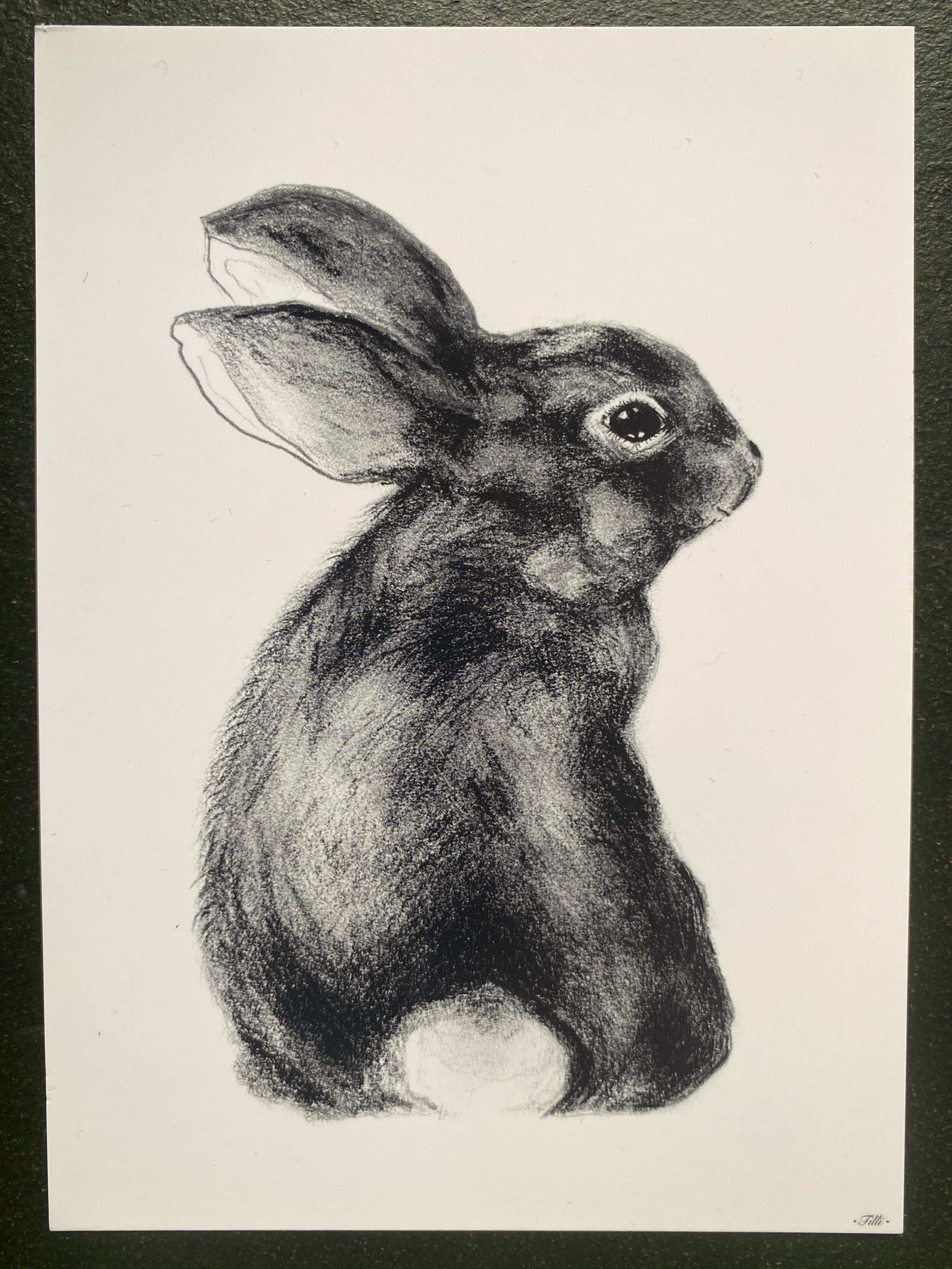 HASE FLOCKE Bunny Kunstdruck Postkarte A6
