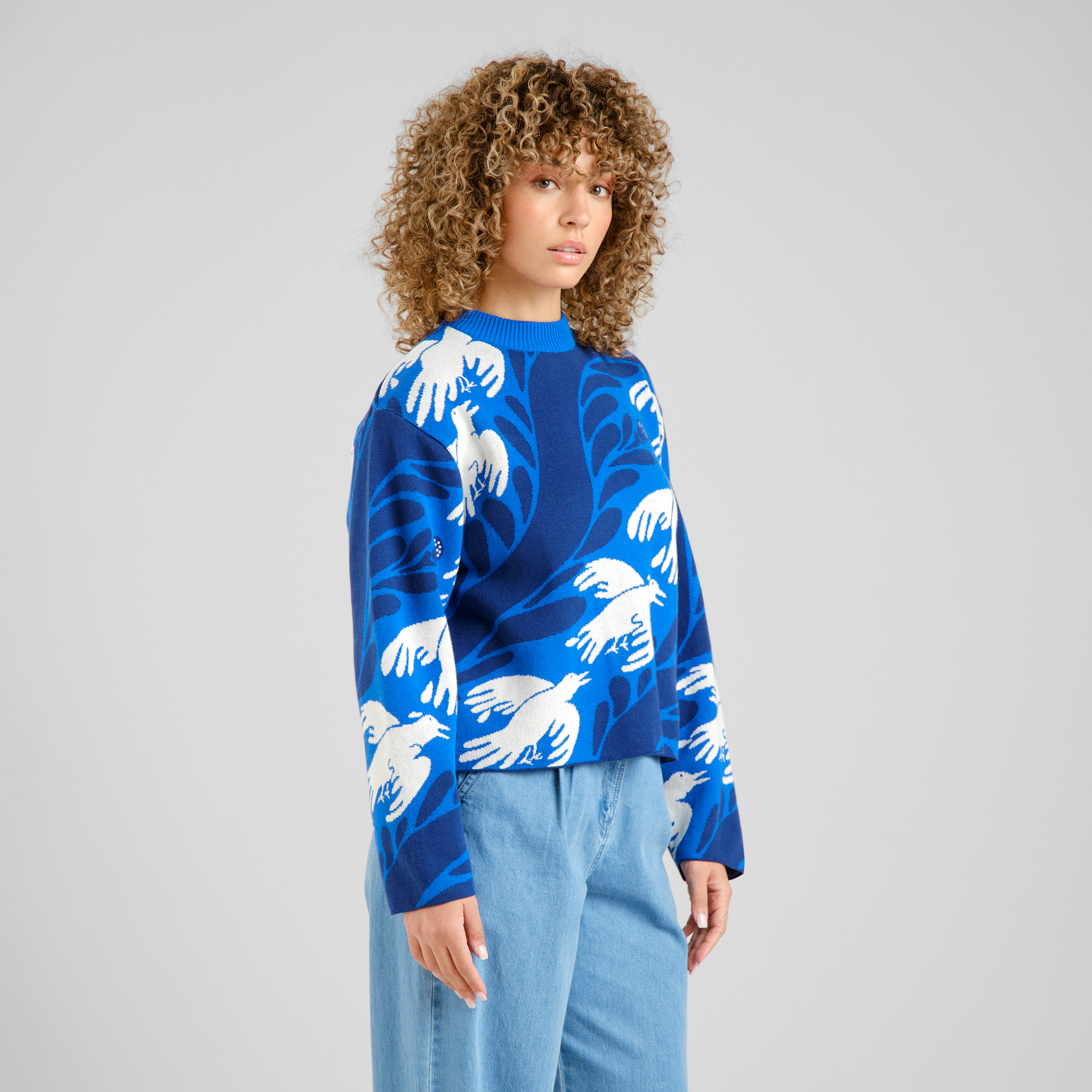 DEDICATED - LIMHAMN THE PHOENIX Pullover blue