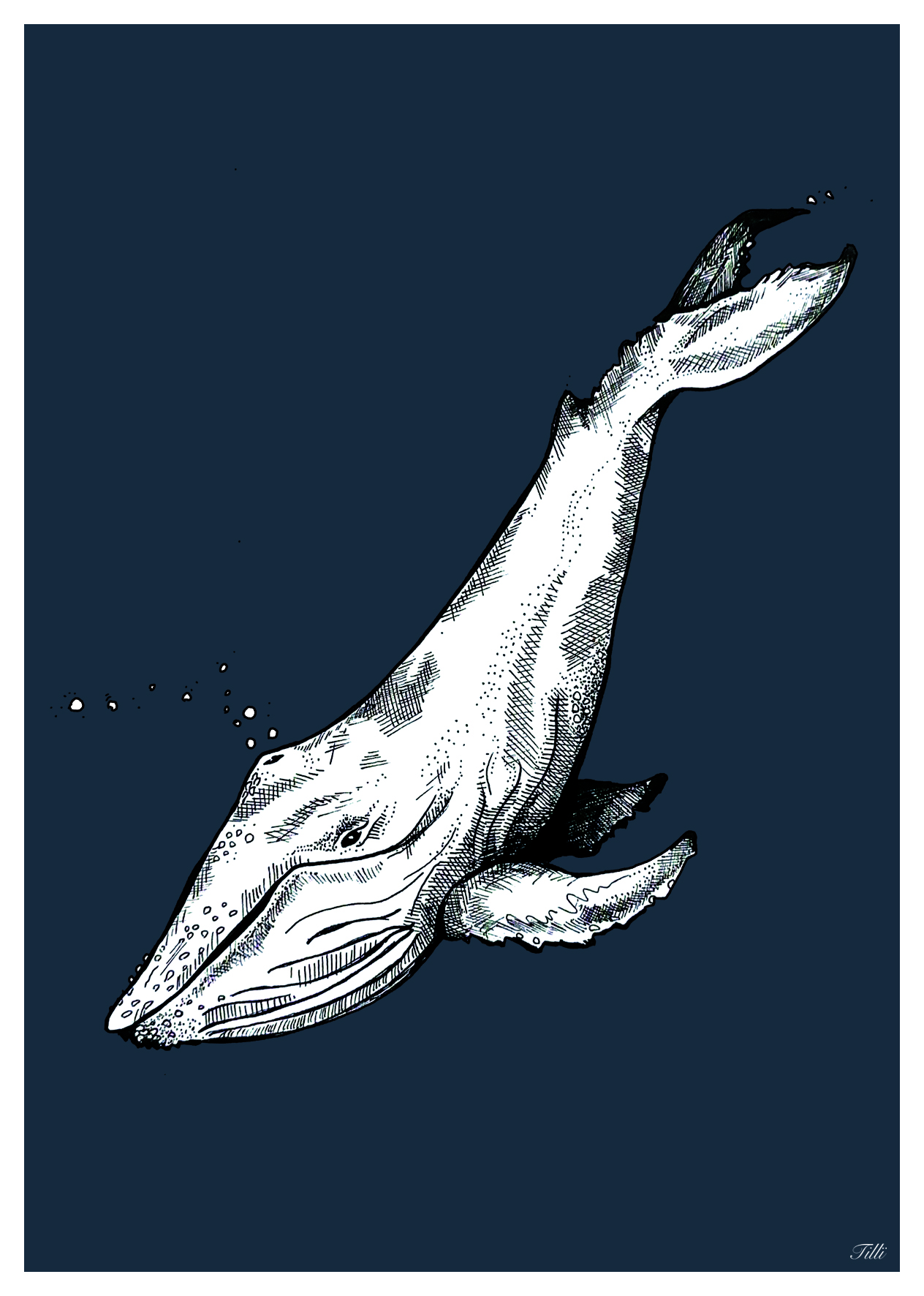 TILLÏ - DEEP SEA Postkarte A6