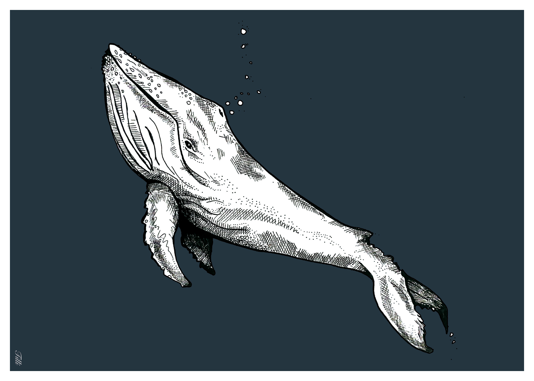 TILLÏ - DEEP SEA Postkarte A6