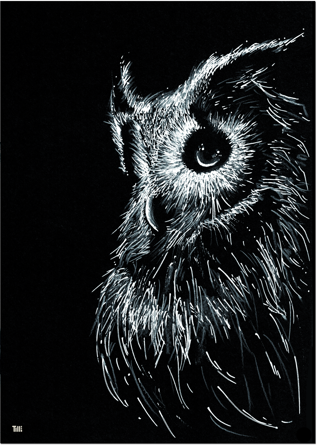 TILLÏ - BLACK OWL Kunstdruck Postkarte - A6